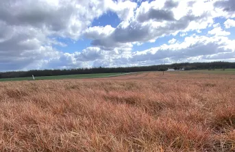 La proposition d'homologuer le glyphosate jusque fin 2033 n'a pas trouvé de majorité